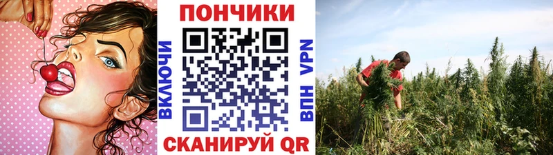 Наркошоп купить Alpha PVP  Меф мяу мяу  МАРИХУАНА  Кокаин  Бежецк