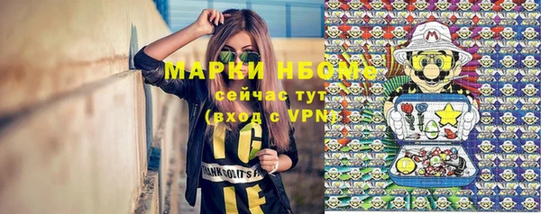 твердый Арсеньев