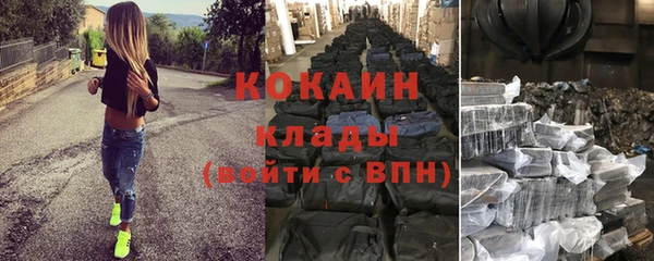 твердый Арсеньев