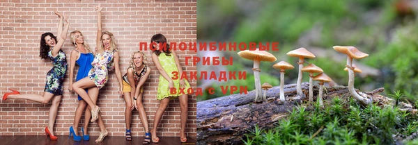 твердый Арсеньев