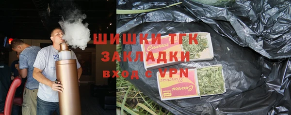 твердый Арсеньев