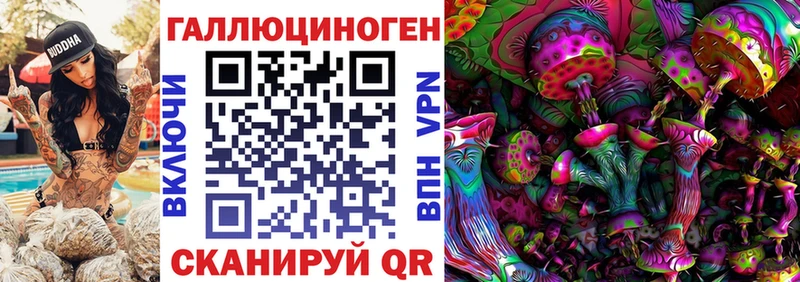 Купить где  Бежецк  Галлюциногенные грибы Psilocybine cubensis 
